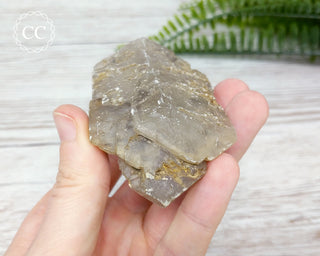 Gypsum Tabular Crystal #14