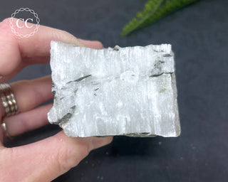 Gypsum Specimen #2