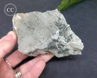 Gypsum Specimen #2