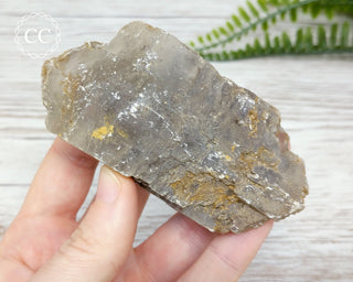 Gypsum Tabular Crystal #15
