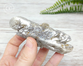 Gypsum Tabular Crystal #16