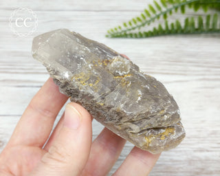 Gypsum Tabular Crystal #16