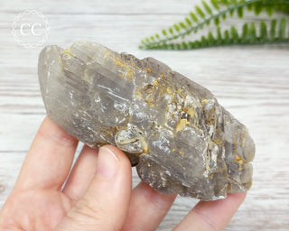 Gypsum Tabular Crystal #16