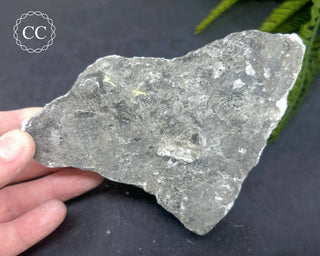 Gypsum Specimen #6