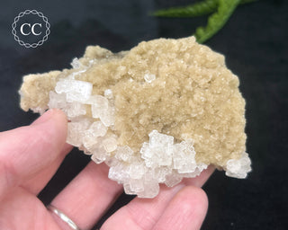 Halite Cluster #1