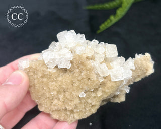 Halite Cluster #1