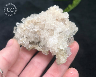 Halite Cluster #2