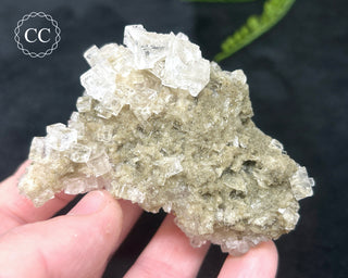 Halite Cluster #2