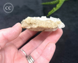 Halite Cluster #1