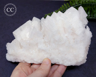 Cubic Halite Cluster - Namibia #2