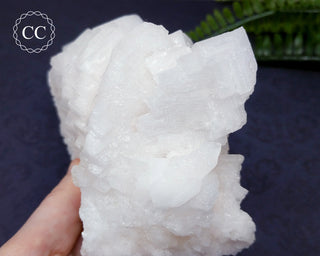 Cubic Halite Cluster - Namibia #2