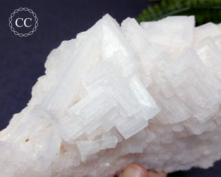 Cubic Halite Cluster - Namibia #2