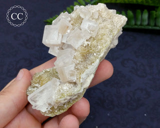 Halite & Trona Cluster California #9