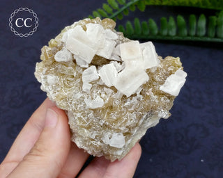 Halite & Trona Cluster California #5