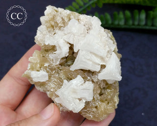 Halite & Trona Cluster California #7