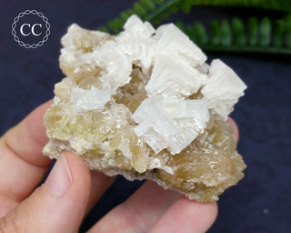 Halite & Trona Cluster California #7