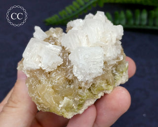Halite & Trona Cluster California #7