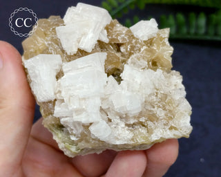 Halite & Trona Cluster California #7