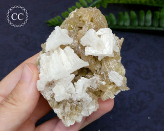 Halite & Trona Cluster California #7