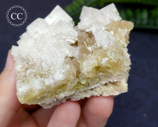 Halite & Trona Cluster California #7