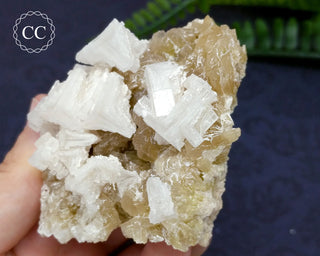 Halite & Trona Cluster California #7