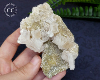 Halite & Trona Cluster California #9