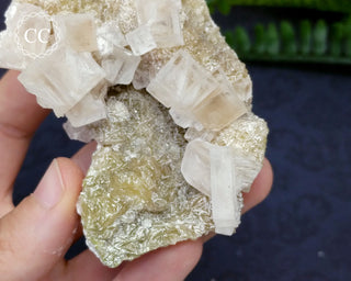 Halite & Trona Cluster California #9