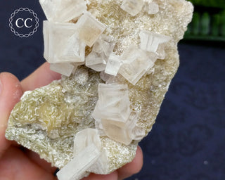 Halite & Trona Cluster California #9