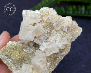 Halite & Trona Cluster California #9