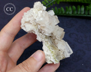Halite & Trona Cluster California #9
