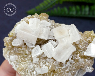 Halite & Trona Cluster California #5
