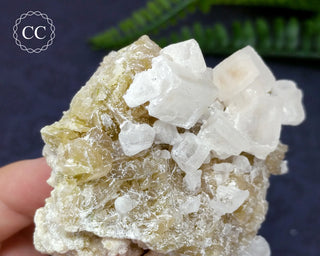 Halite & Trona Cluster California #5