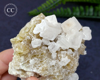 Halite & Trona Cluster California #5