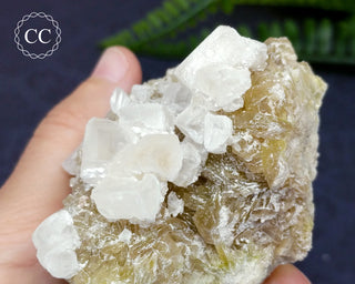 Halite & Trona Cluster California #5
