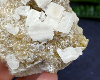 Halite & Trona Cluster California #5