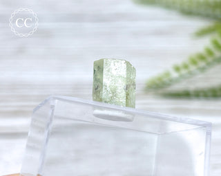 Heliodor Crystal - Padre Paraiso #3