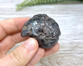 Hematite Ammonite | Ammonoid #12
