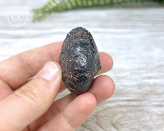 Hematite Ammonite | Ammonoid #12