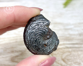 Hematite Ammonite | Ammonoid #7