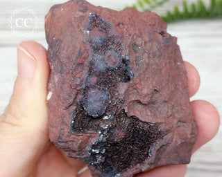Bladed Hematite Specimen - Florence Mine #4