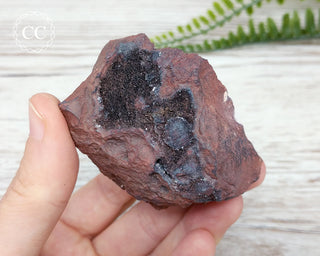 Bladed Hematite Specimen - Florence Mine #4