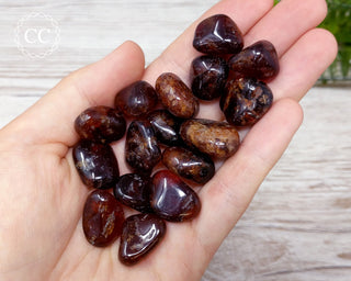 Hessonite Garnet Tumbled Crystals in hand
