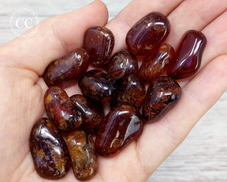Hessonite Garnet Tumbled Crystal