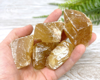 Honey Calcite Raw Crystals in hand