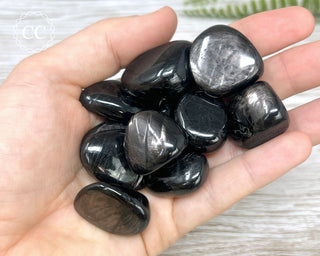 Hypersthene Tumbled Crystals in hand