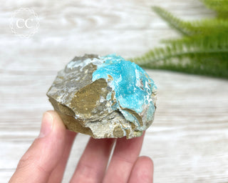 Druzy Blue Hemimorphite - Mfouati Mine #2