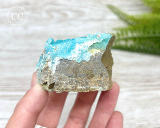 Druzy Blue Hemimorphite - Mfouati Mine #2