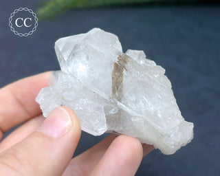 Brookite In Quartz #4