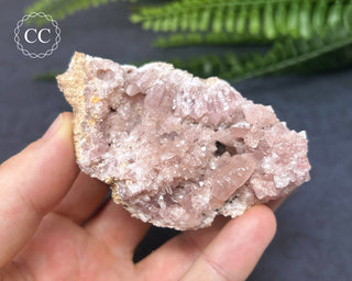 Pink Amethyst Geode #2