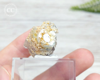 Erongo Included Aquamarine Crystal #7